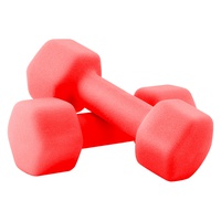 DUMBBELL SET - 1KG