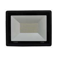 LED FLOOD LIGHT 100W