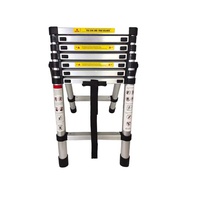 ALUMINIUM LADDER - 13 x 2