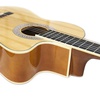CLASSICAL GUITAR - SMIGER