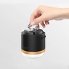 OUTDOOR LIGHT - ECOFLOW