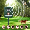 ANIMAL AND BIRD REPELLER
