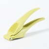 GARLIC PRESS - GREEN