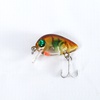 FISHING LURE