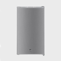 MINI FRIDGE - IGNIS