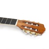 CLASSICAL GUITAR - SMIGER