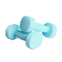 DUMBBELL SET - 2KG