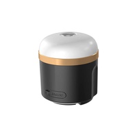 OUTDOOR LIGHT - ECOFLOW