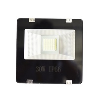 LED FLOOD LIGHT 30W