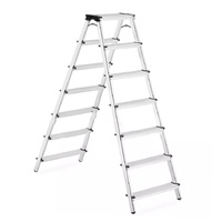 ALUMINIUM LADDER - 7 X 2