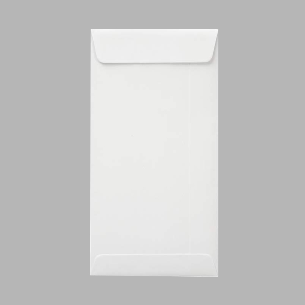 ENVELOPE WHITE  4" X 9" PLAIN TYPE - PAPERLINE