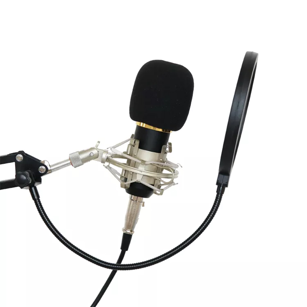 MICROPHONE POP FILTER